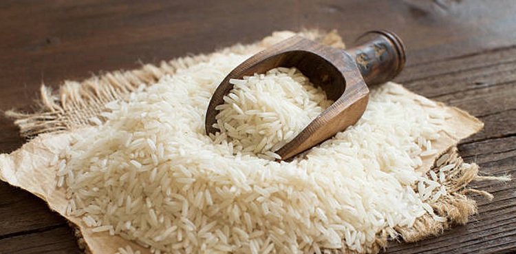 basmati rice food exports