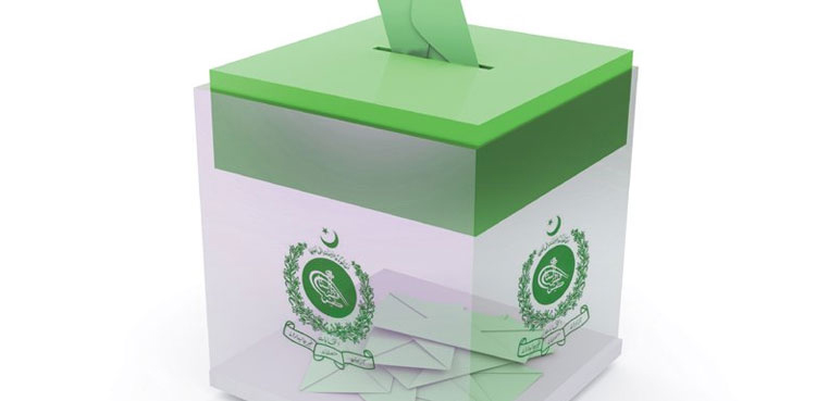 sindh, delimitation, ecp, local bodies election ,